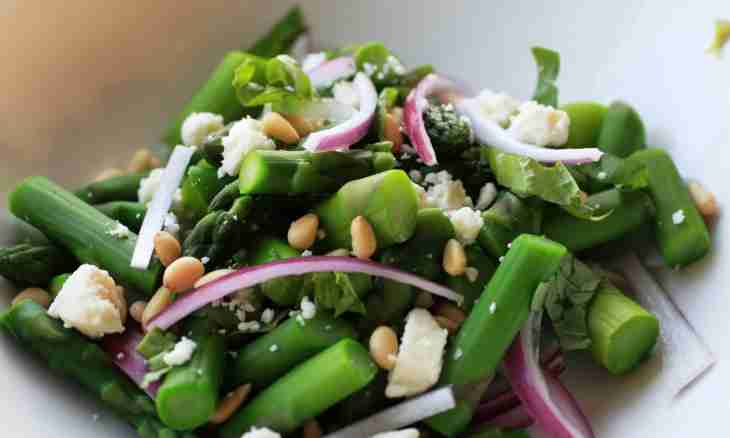How to make asparagus haricot salad for the winter